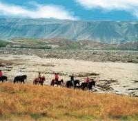 Horse Riding
